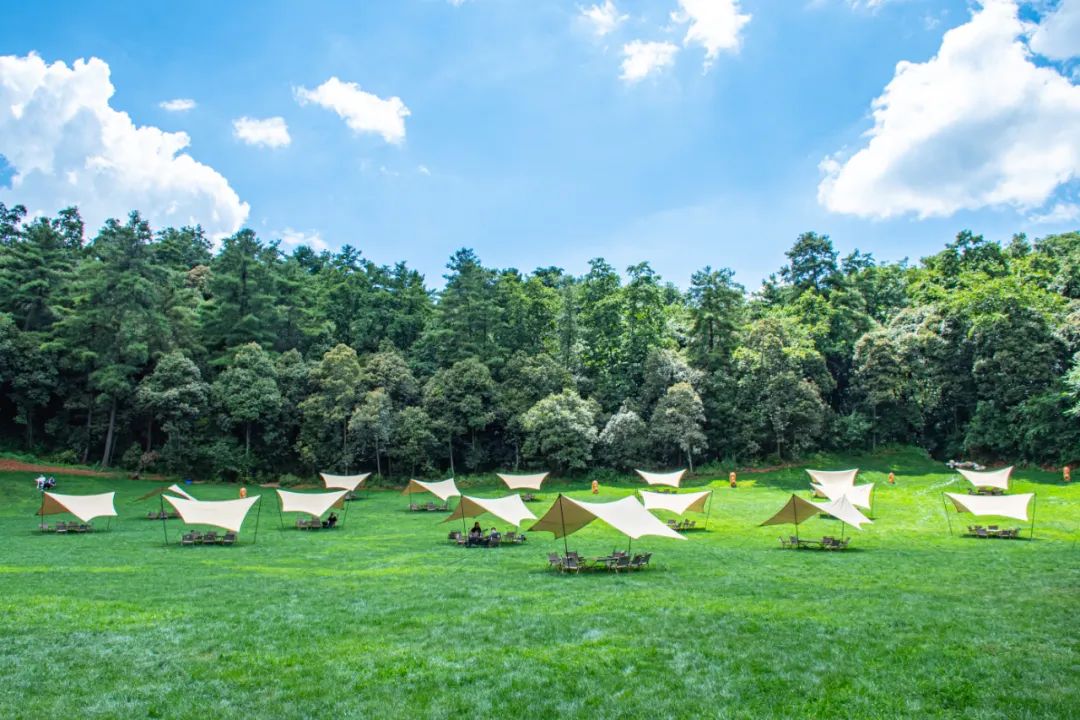 昆明松鹿部落风景区现在收门票吗,昆明松鹿部落景区