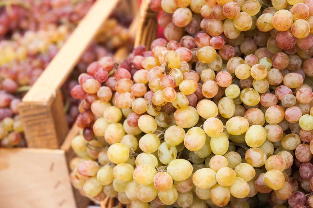 名酒的副牌酒,名酒为什么允许贴牌酒