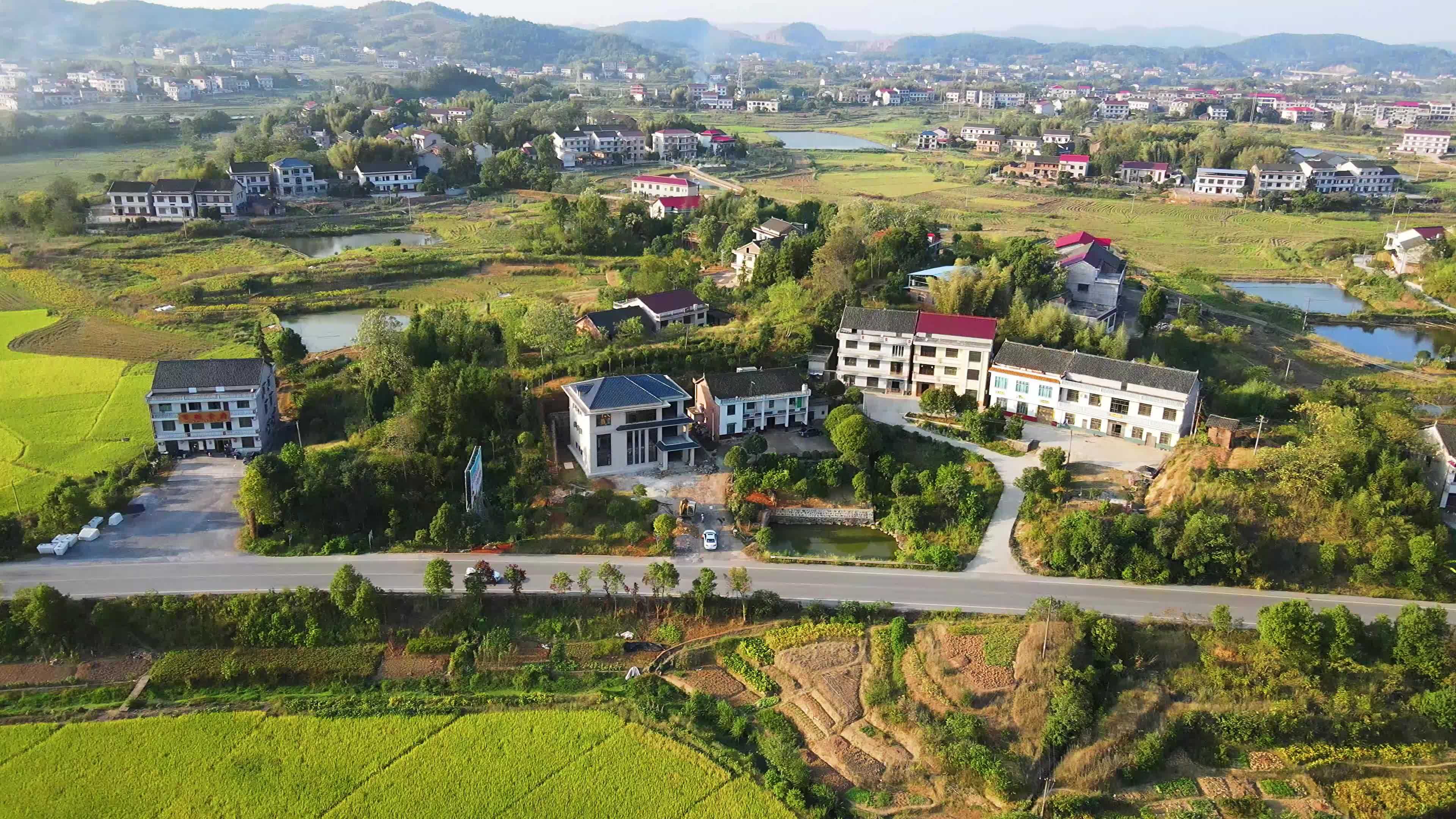 冥界之花为什么叫起死回生的仙草,大量出现冥界之花的预兆