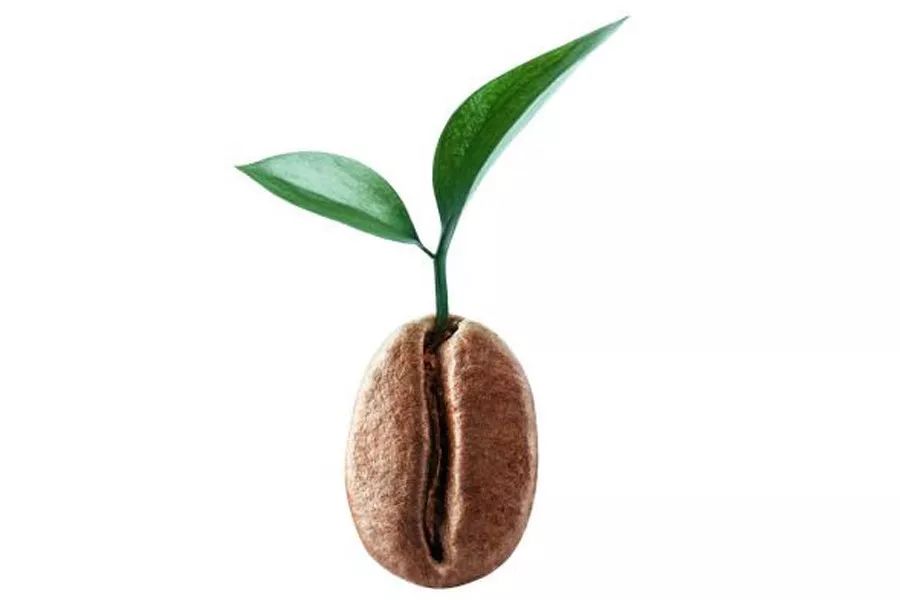 带一点甜味的葡萄酒有哪些,葡萄酒有甜味是怎么回事