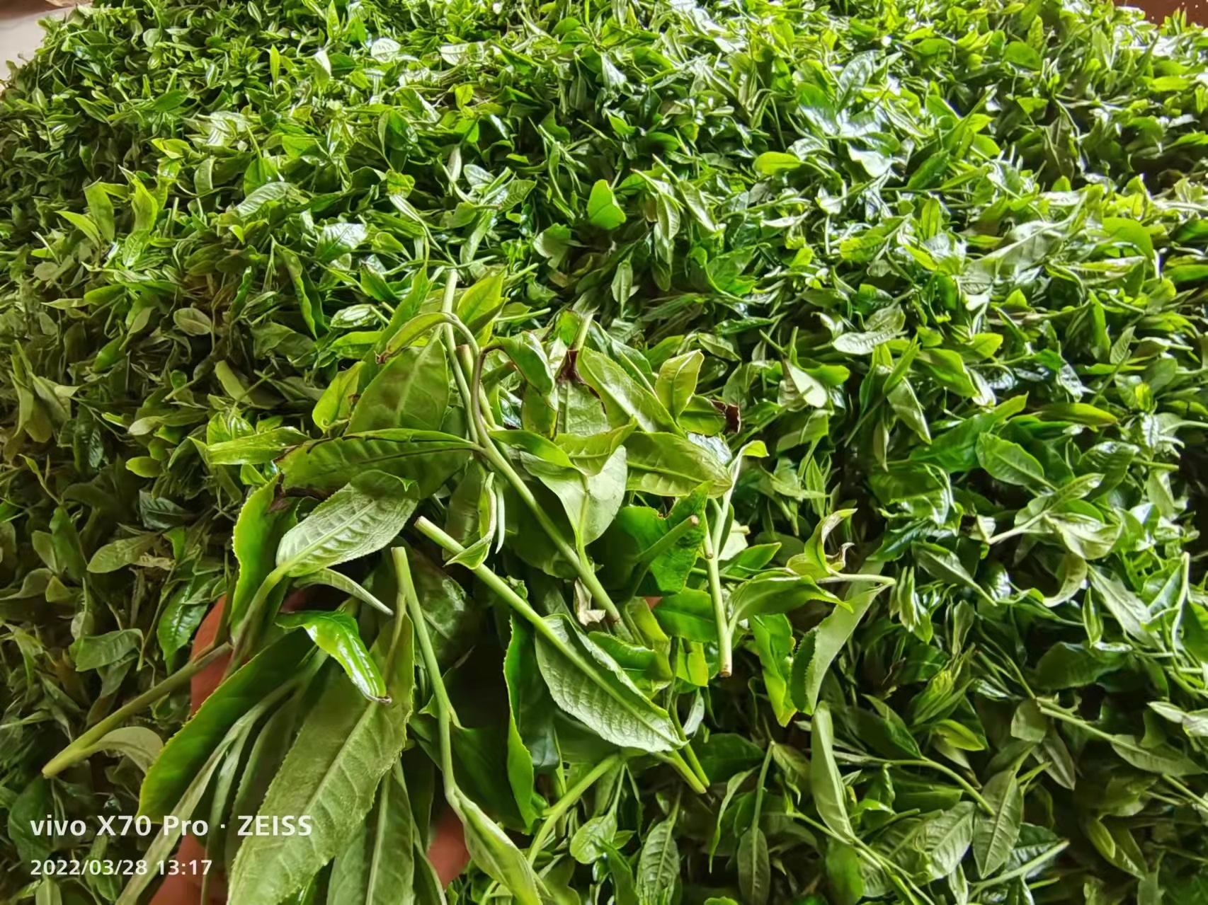 200的茶叶是如何在网店变成2000的,为什么仍说:不赚钱?