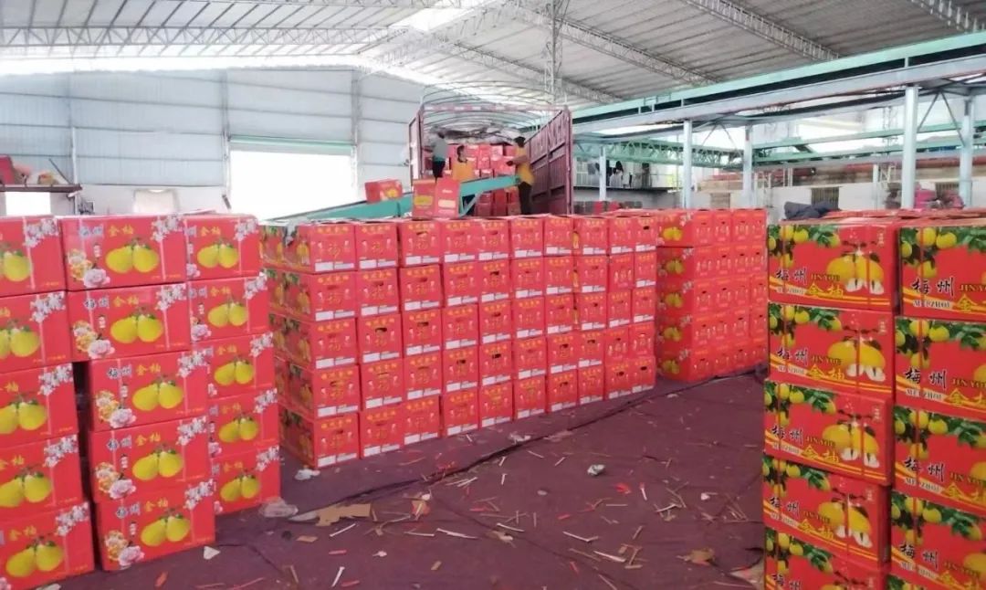 我，广东梅州人，大学毕业返乡帮父母卖水果，5年年销量200万斤