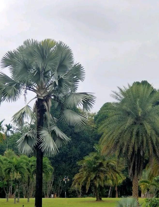 云南旅游这几个景点都是坑,没必要去,快来看,替你节省时间金钱