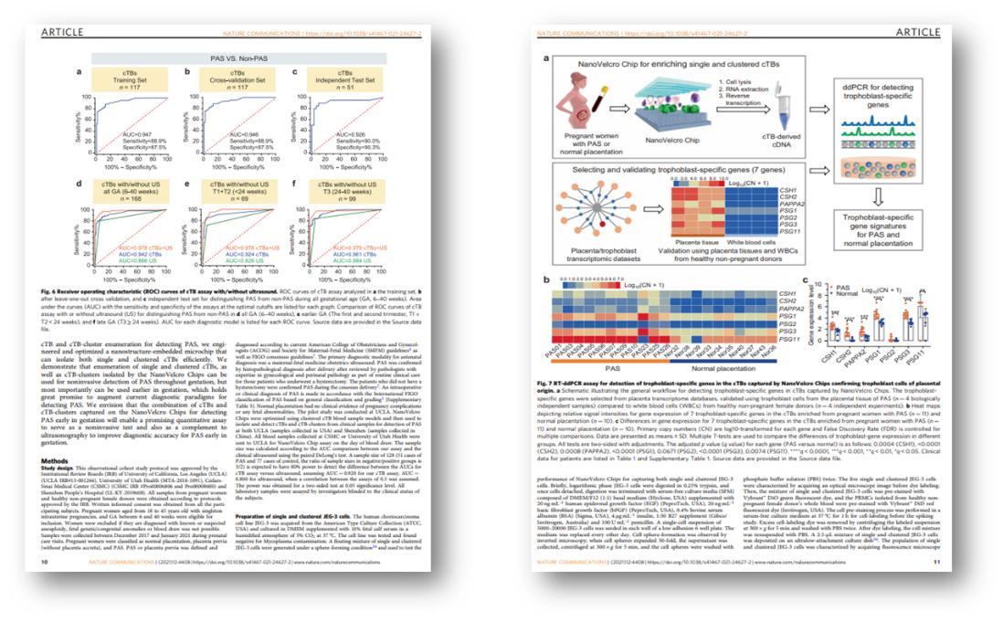 精读外刊《自然》破解科技英语论文：“优化的NanoVelcro芯片”