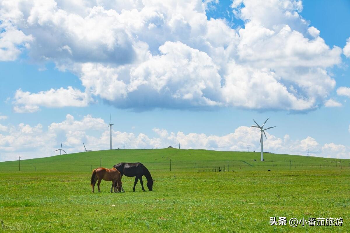夏天去杭州哪里旅游凉快,夏天凉快的旅游小镇