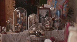 《珠光宝气》俪群会之「名媛团体观察」:抱团也是技术活