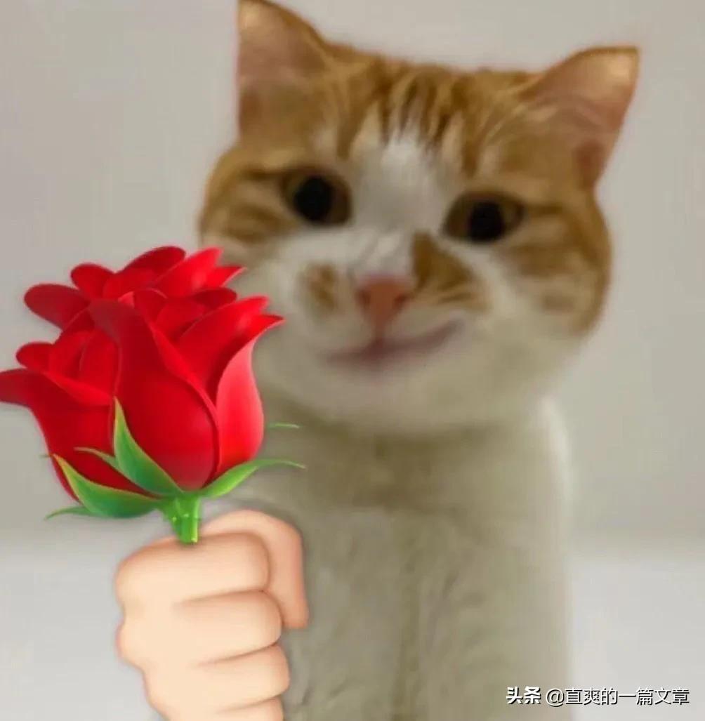 男生逆袭变帅的方法图文,男生变帅小技巧颜值逆袭男生必备