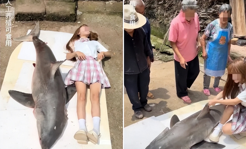 津云官网核酸检测最新消息,津云天津河北区核酸检测最新通知