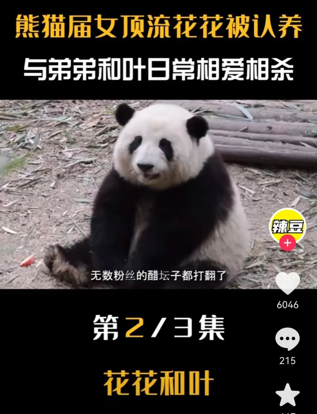 秒出100万！认养丫丫们背后，他们竟是最大赢家？