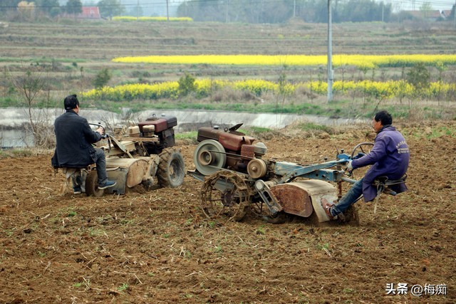 种粮补贴和种地补贴是一回事么,种地大户粮食补贴到底有没有