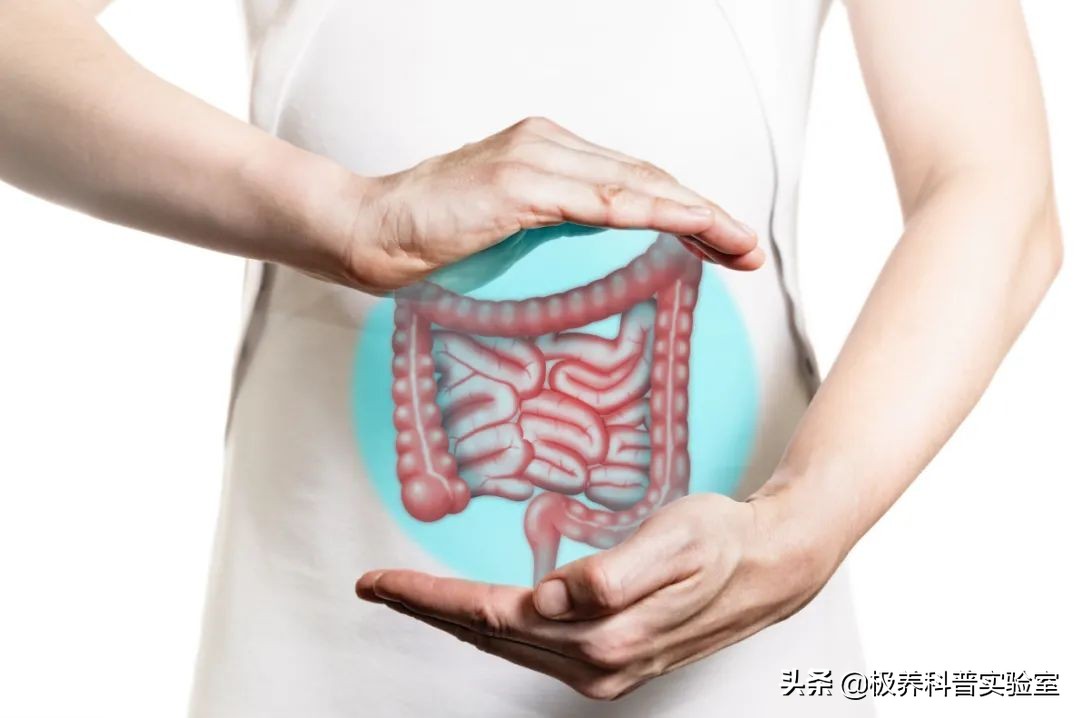 清肠茶喝3年结果肠子都黑了,除了肠清茶还有哪种茶可以清肠道