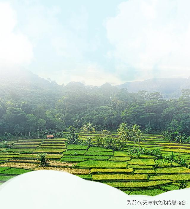 打造农特产品线上销售平台,蓟州农产品销售平台