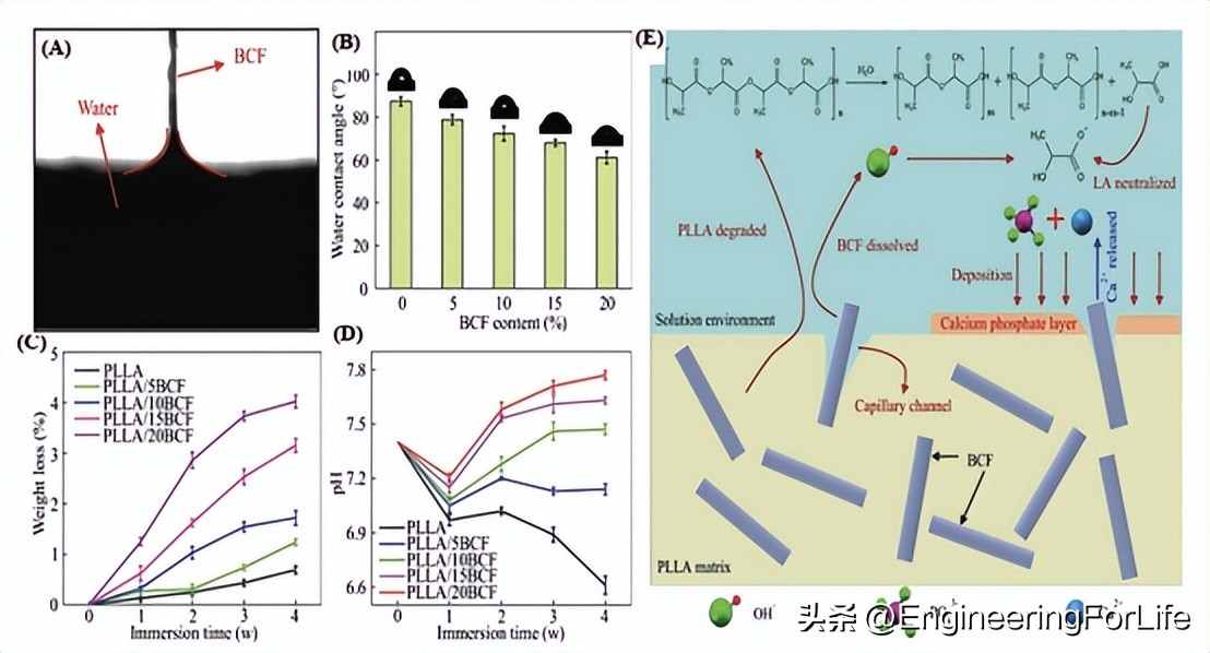 人造骨骨移植研究进展！面临三大挑战并进行未来展望
