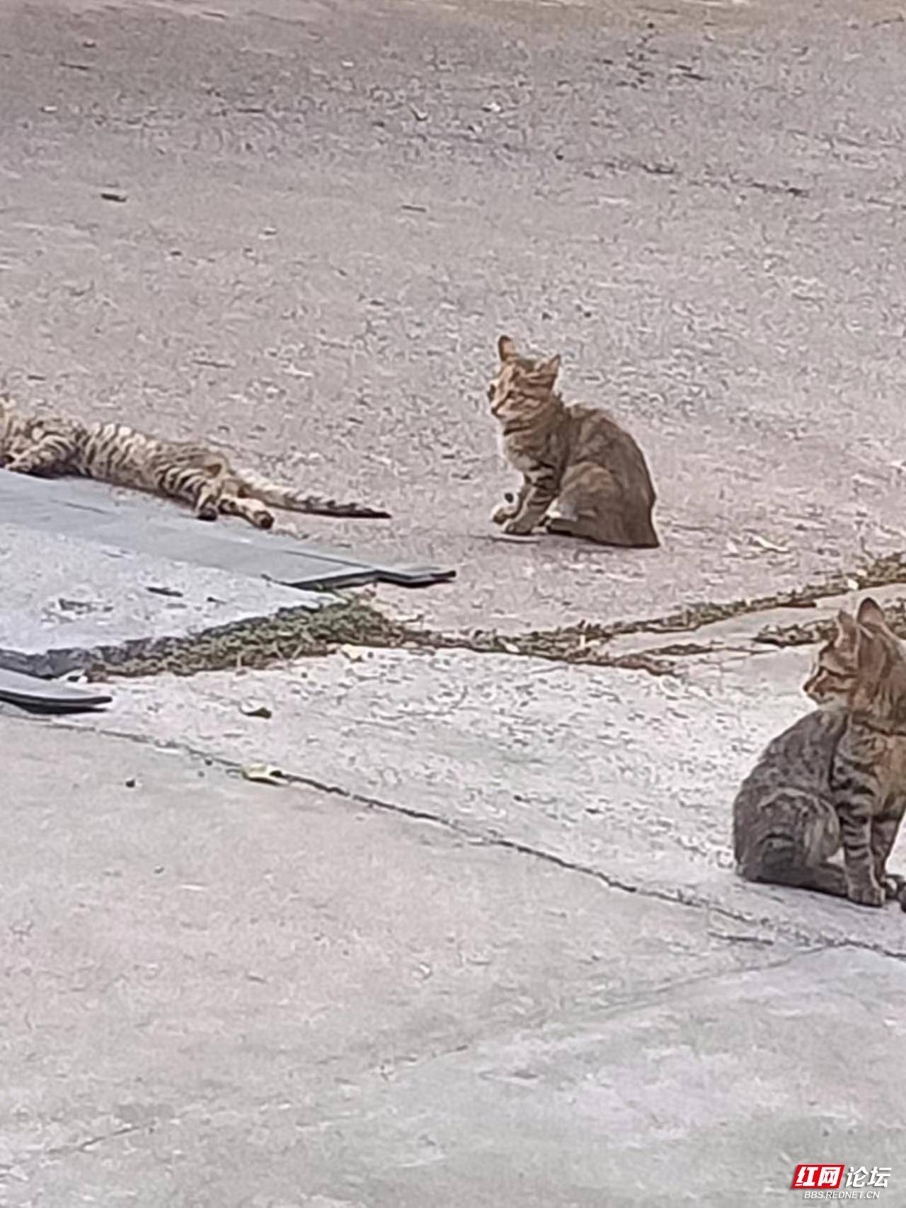 心中有佛才能生佛,心中有佛必是大善人