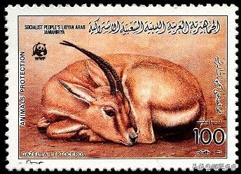 全球保护濒危动物邮票,十二种濒危物种邮票