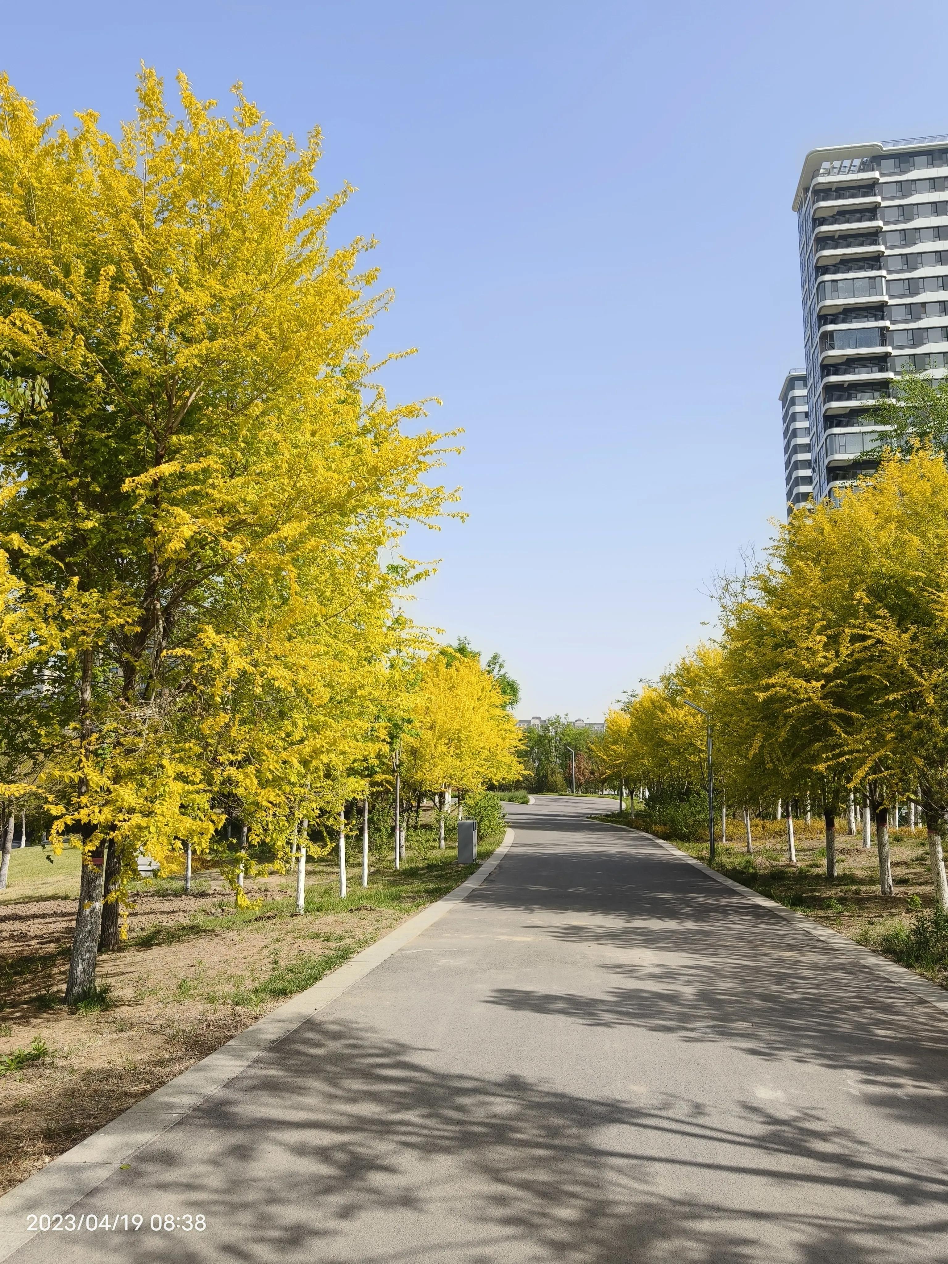 三阶魔方第三层十字复位,魔方顶角复位三阶