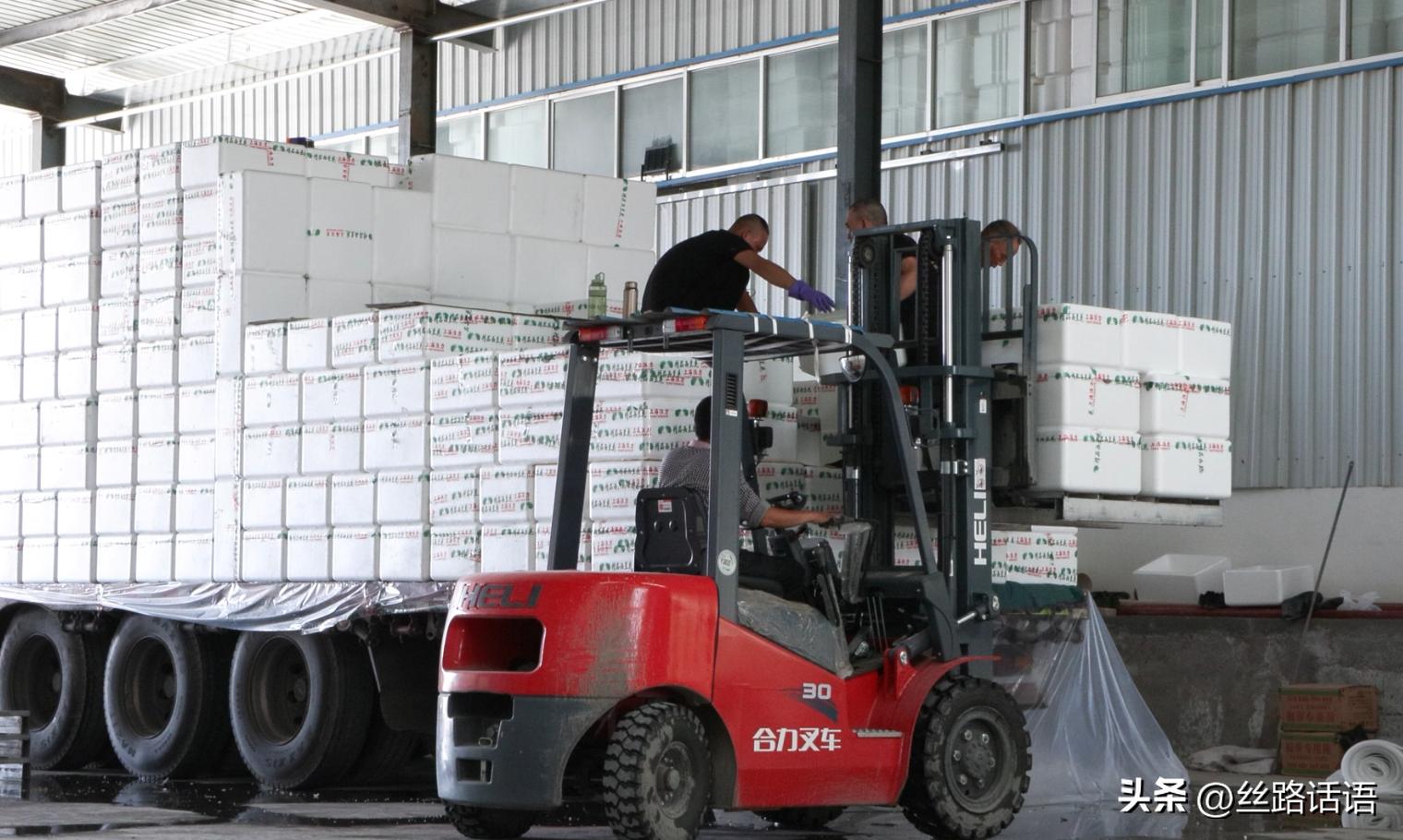 三抓三促春季造林,三抓三促七里河