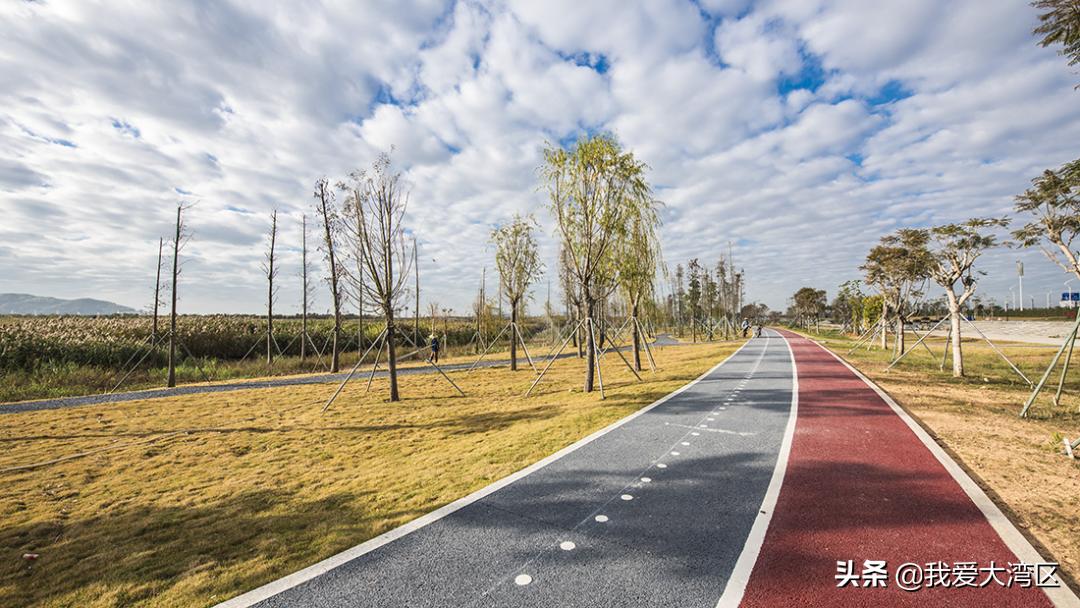 珠海春游赏花,珠海周边踏青景点