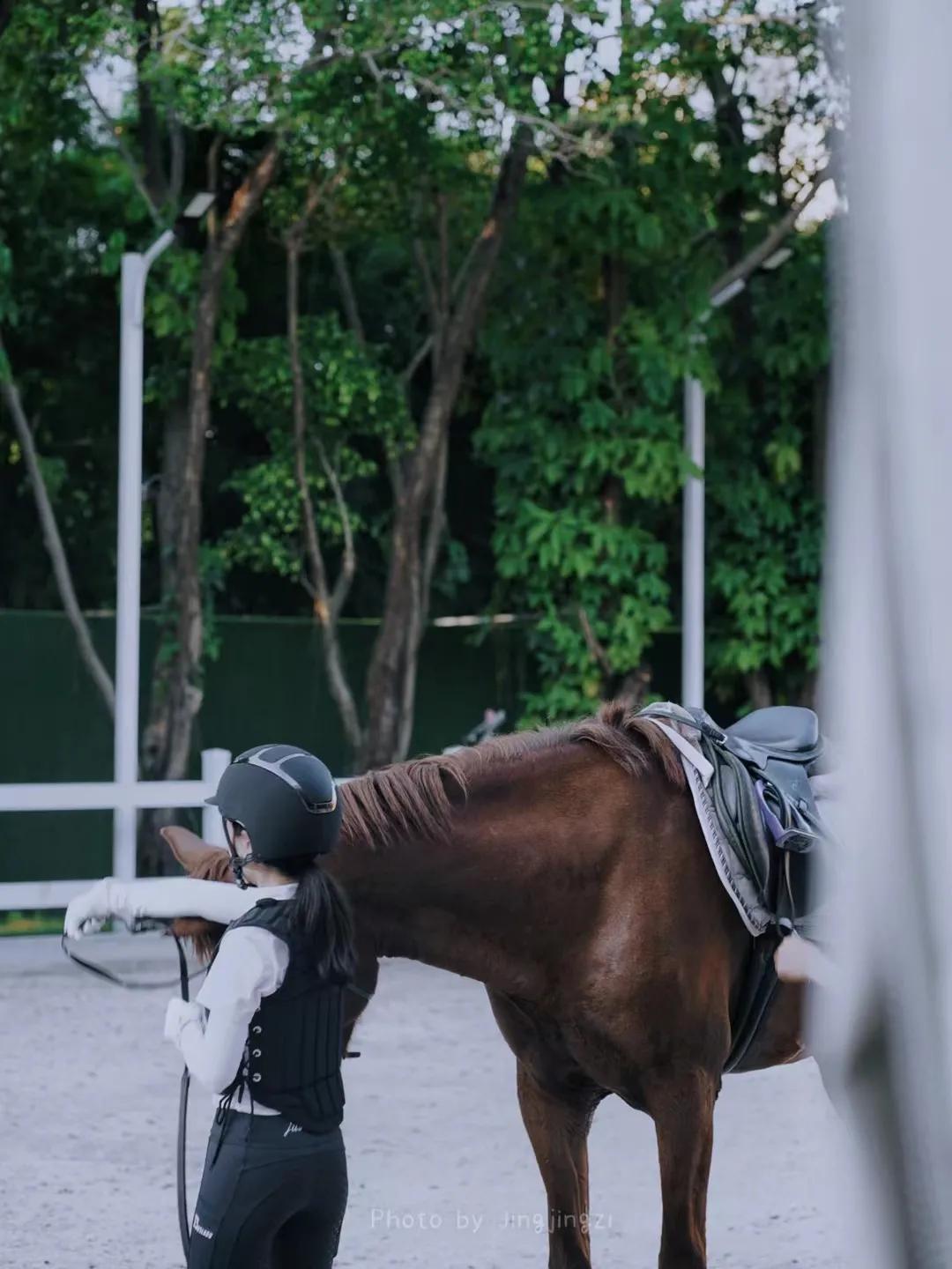 马是人类最有灵性的动物吗,马是一种非常强壮的动物