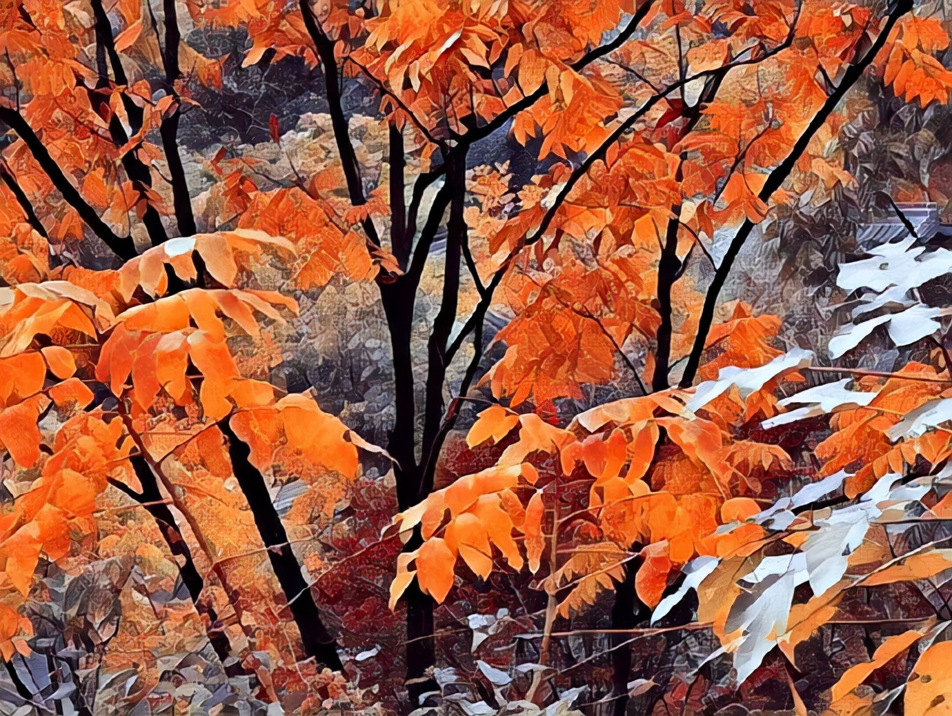 晨思暮想中年人,晨思晚语