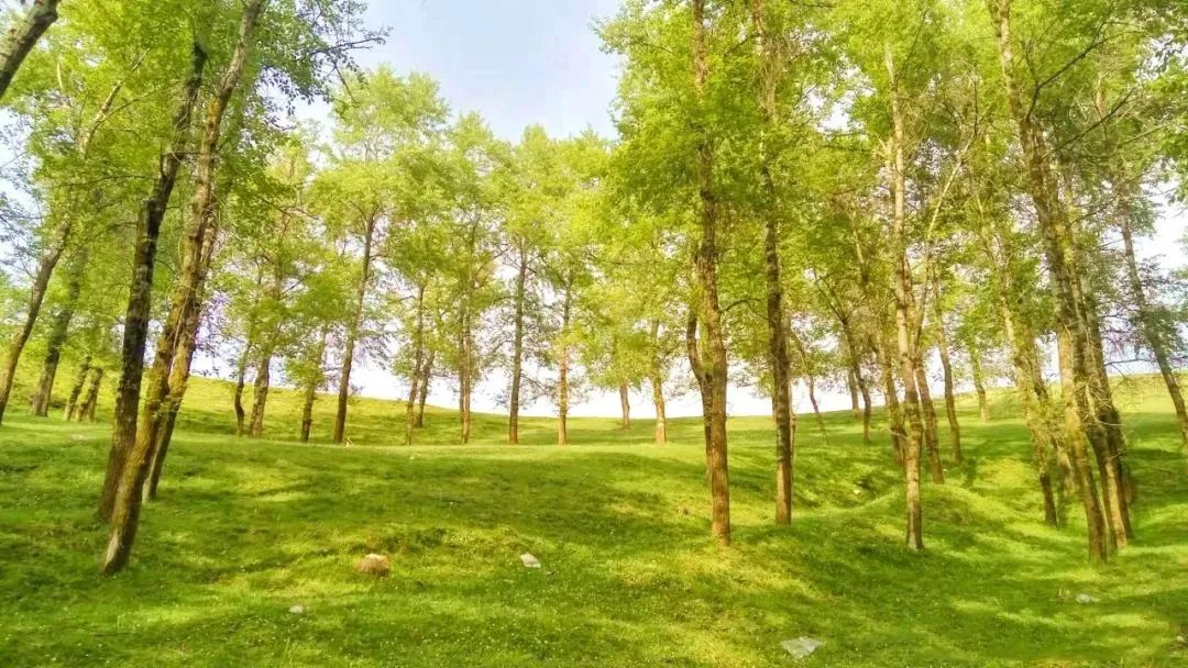 速收！兰州出发，临夏太子山旅游大通道及3-5日大环线自驾游攻略！