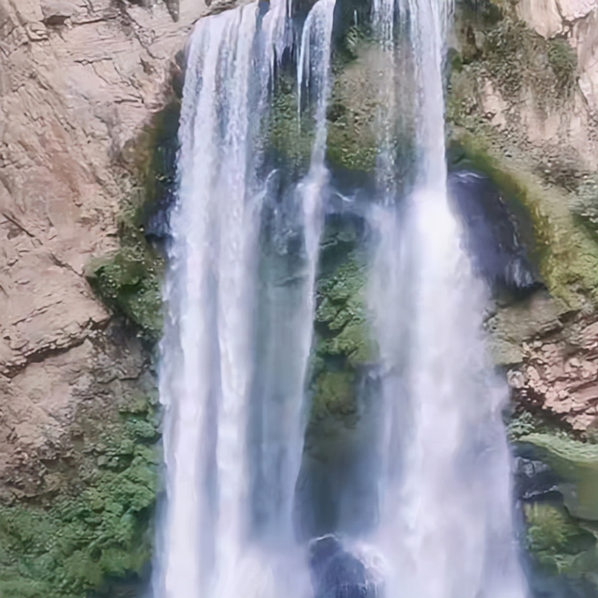 半夜遇到跳舞的诡异女人怎么办,半夜遇到诡异舞蹈