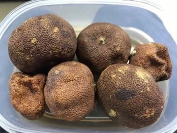 每日一笑段子,每日一笑精品段子