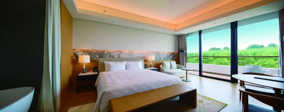 广东亲子游度假温泉酒店,广东省海边酒店亲子自驾游推荐