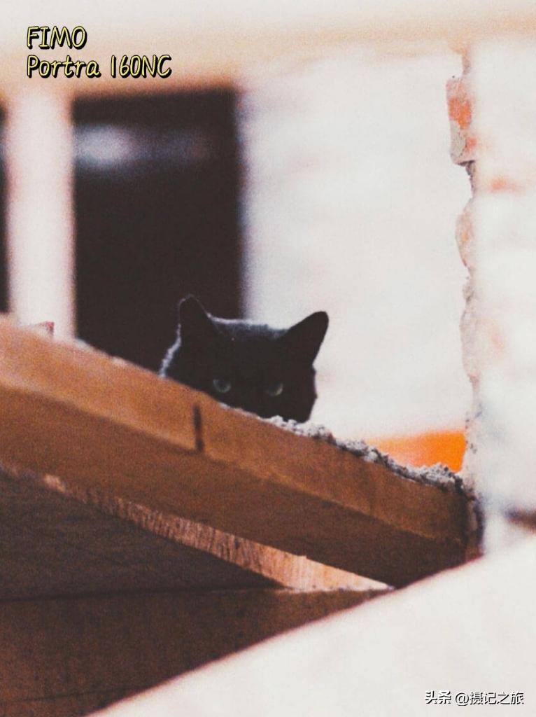 出片神器|4款超好用的仿胶片app推荐