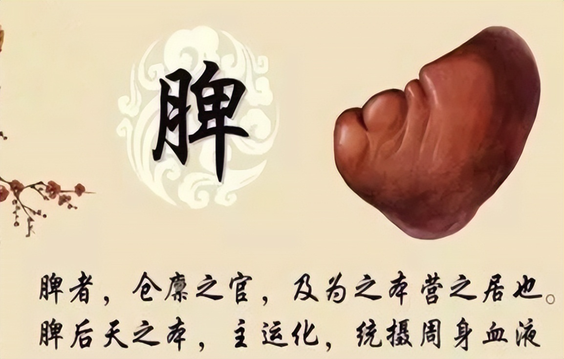 口淡口甜是要健脾还是要补脾,嘴里发甜是脾胃的问题吗