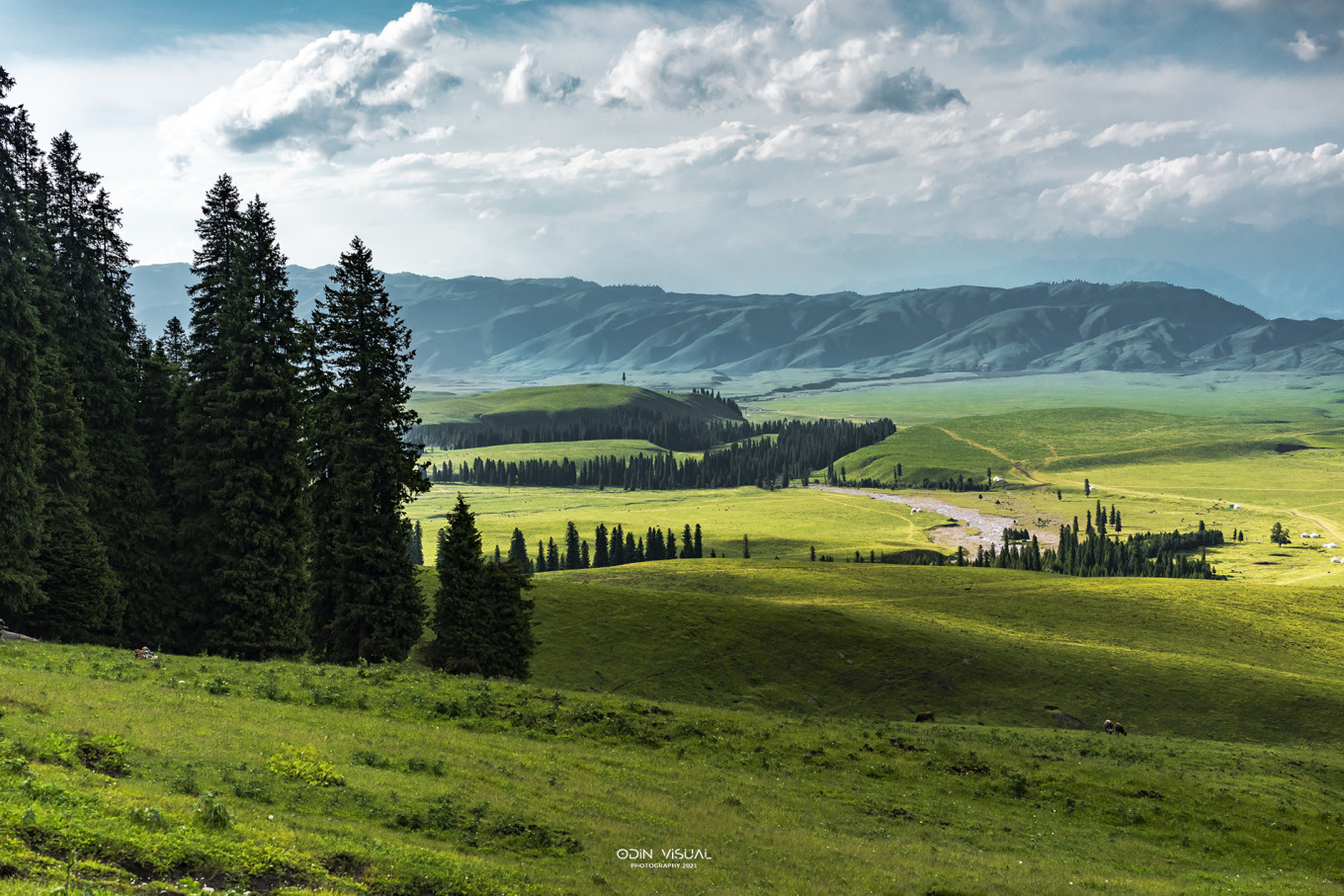 去新疆发现伊犁的美,世界之美尽在伊犁