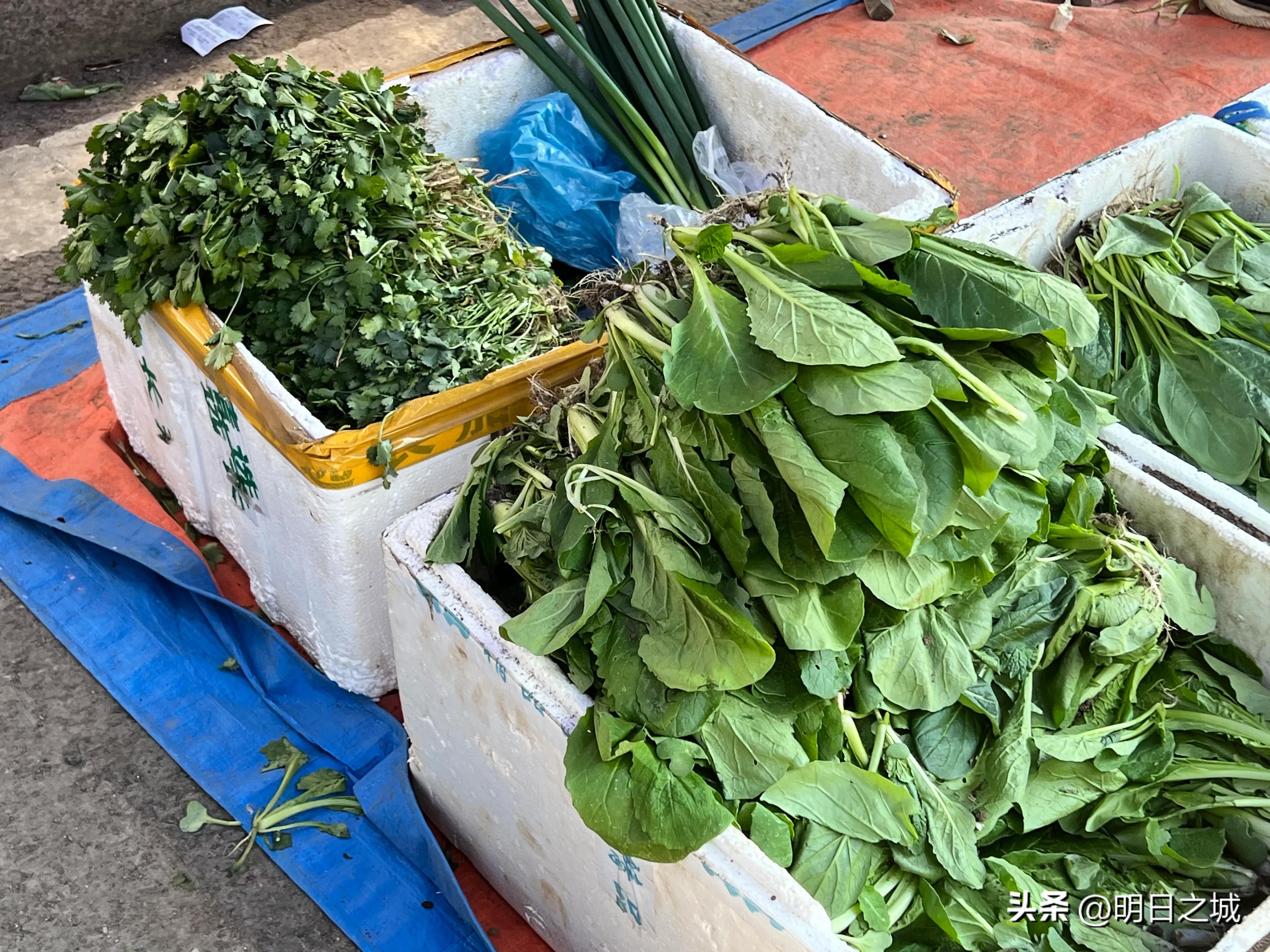 香肠、薯片、爆米花！长春这早市咋这么多现场制作？排队买，真香