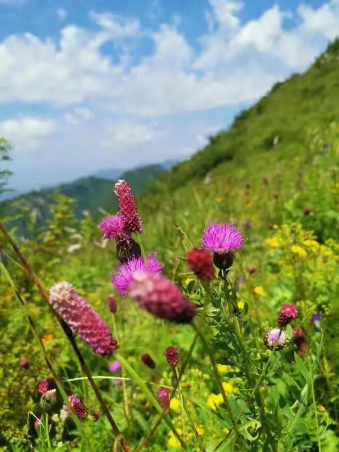 宣化周边野外游好地方,宣化周边野游