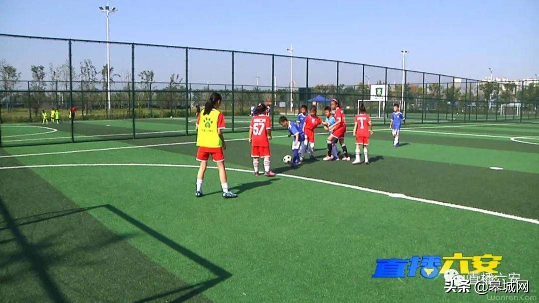 双减政策下如何发挥体育的作用,双减政策对青少年体育有何影响