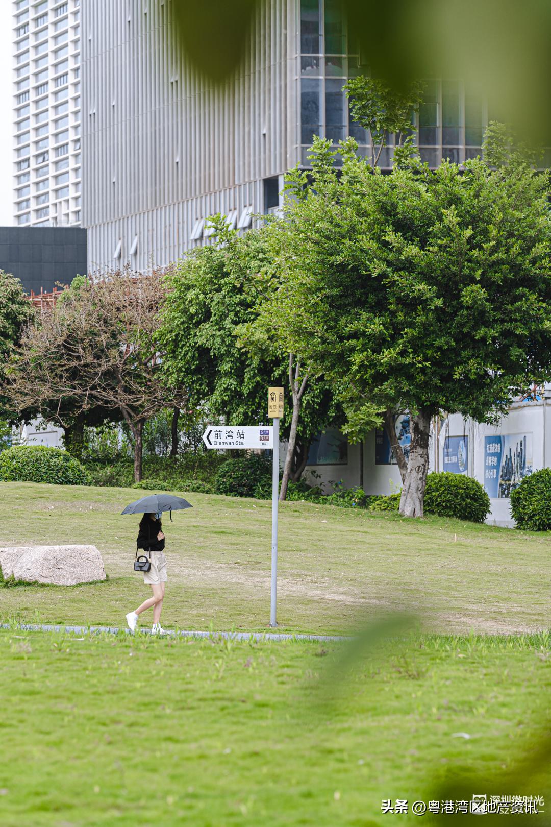 深圳前海的优势,深圳未来最有潜力的前海