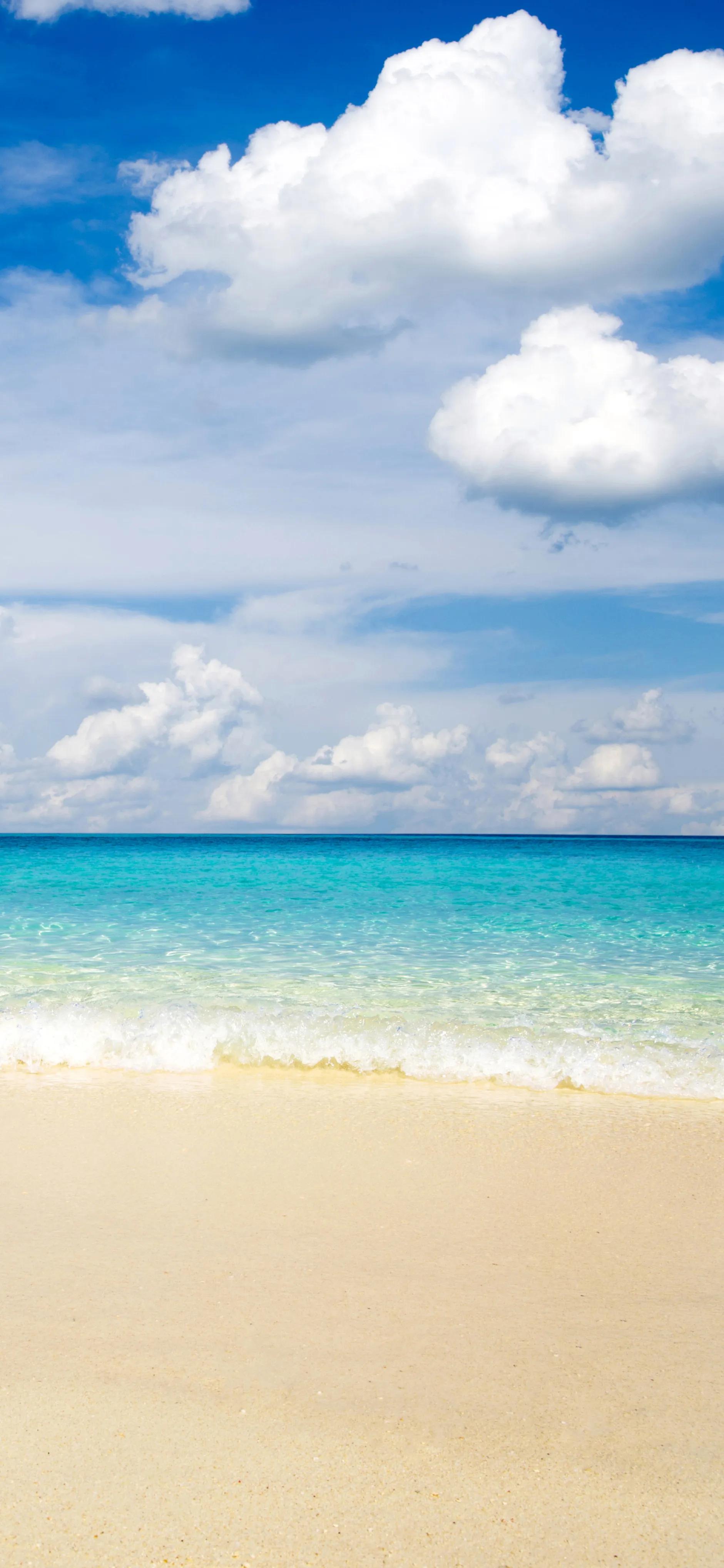 4k120帧美女壁纸,4k壁纸120帧绿巨人