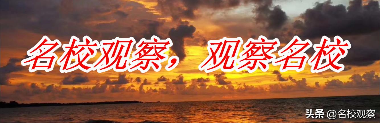 强！新川特色选修课，带领孩子玩转课堂，寻找到诗和远方