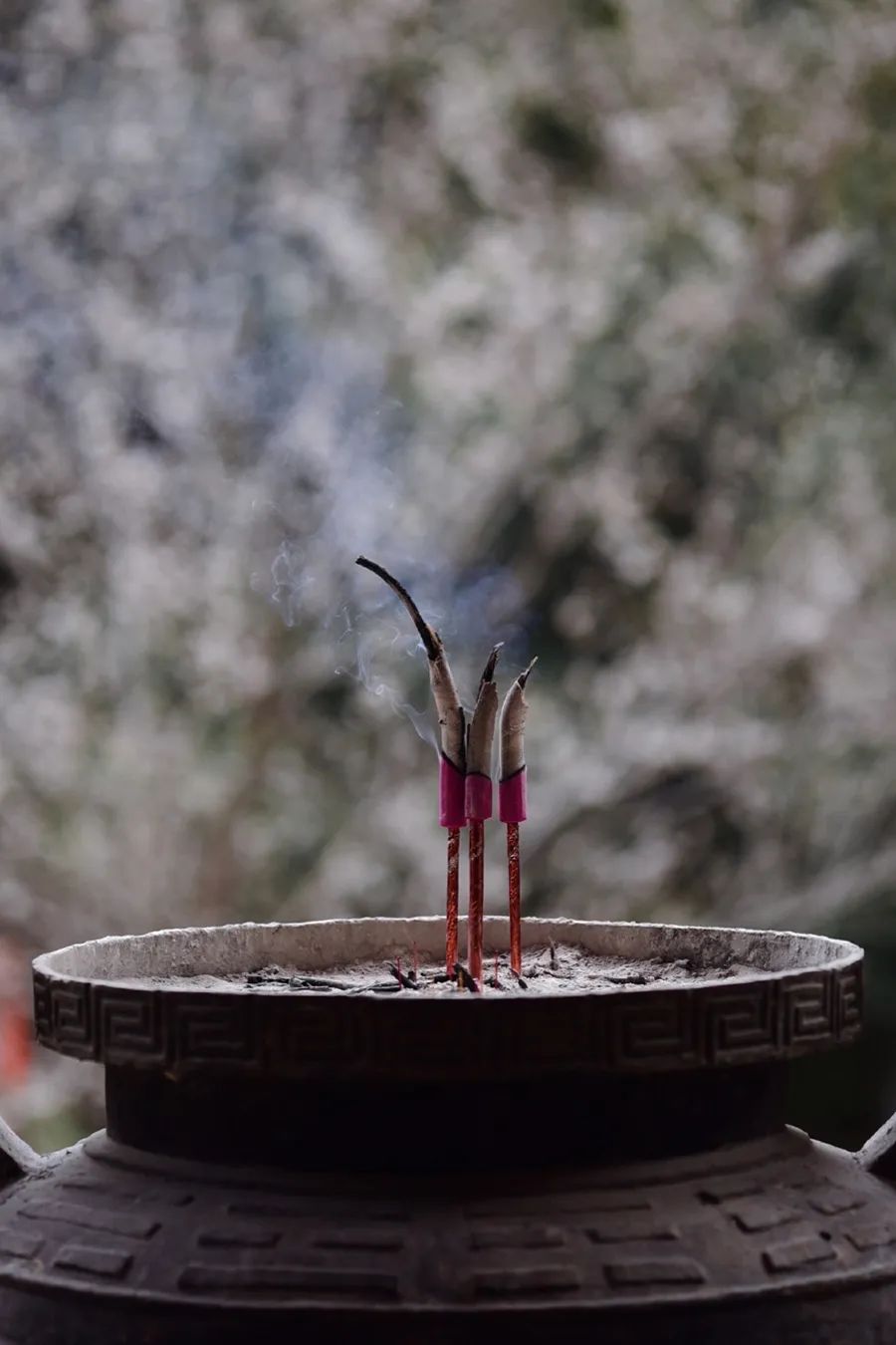 倾情荐读：时间的名字