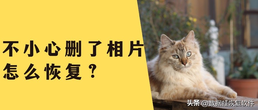 华为相片删了怎么恢复,苹果相片删了怎么恢复