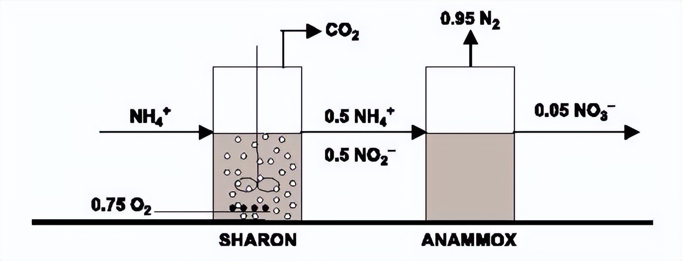 一文读懂硝化反硝化工艺原理