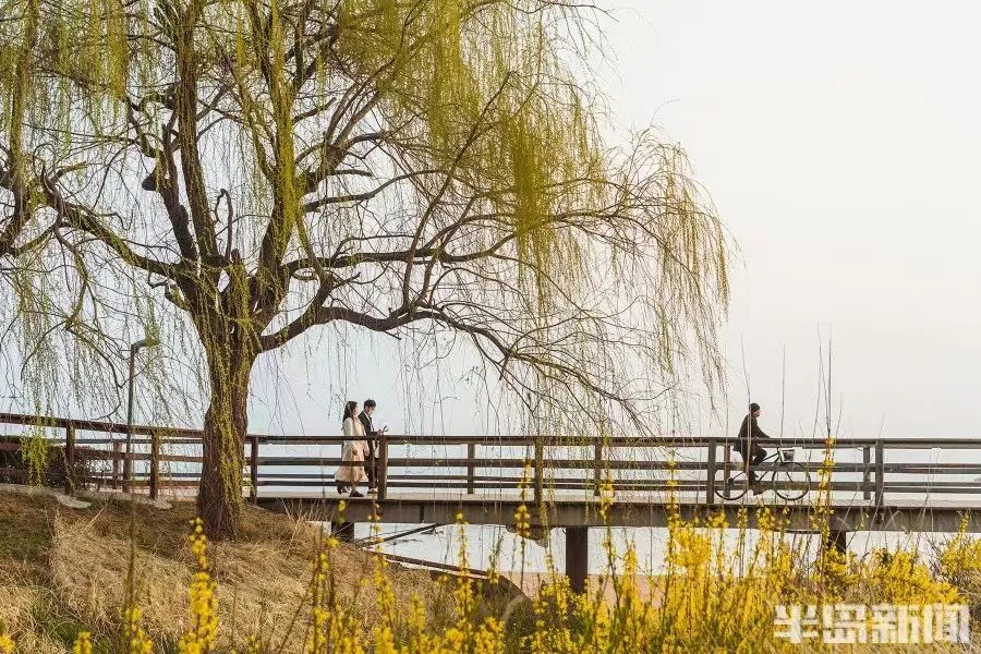 青岛踏春哪里最适合旅游,青岛冬季踏青好去处