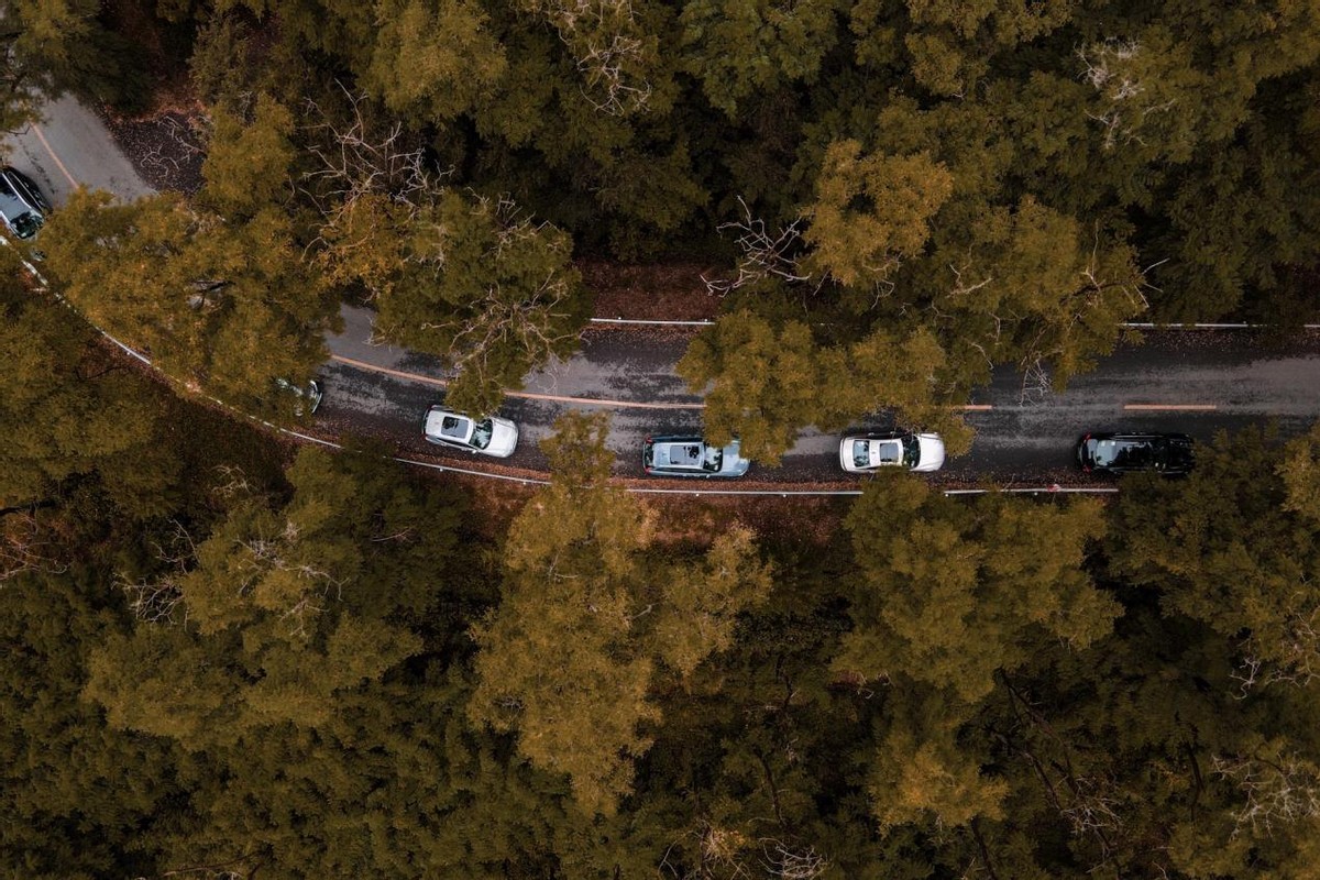 驾域2022沃尔沃汽车驾控体验日燃“擎”在即,武汉站火热招募中!