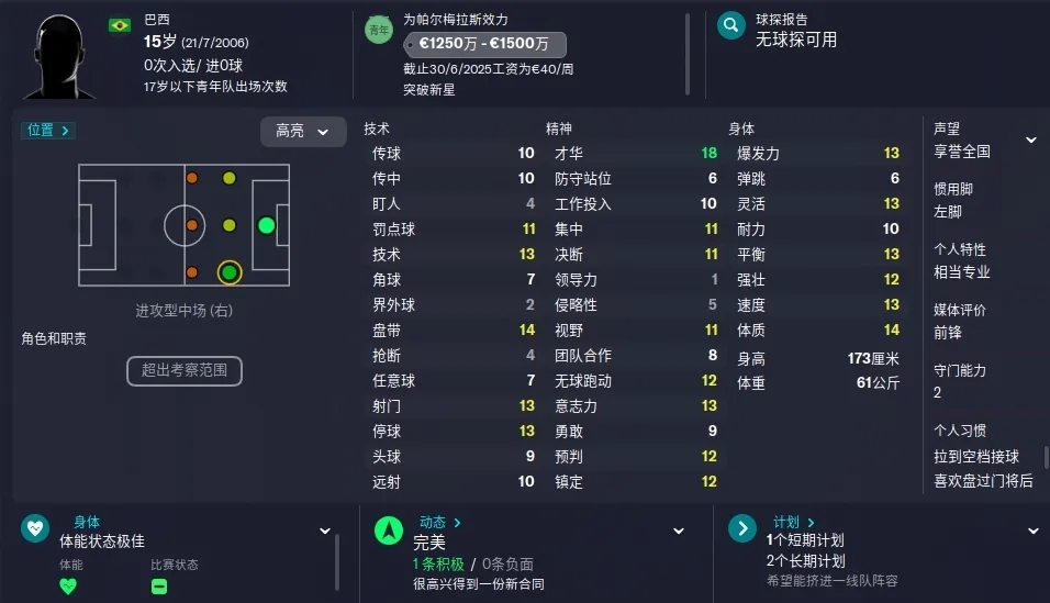 巴西足球17岁新星恩德里克,17岁恩德里克入选巴西国家队