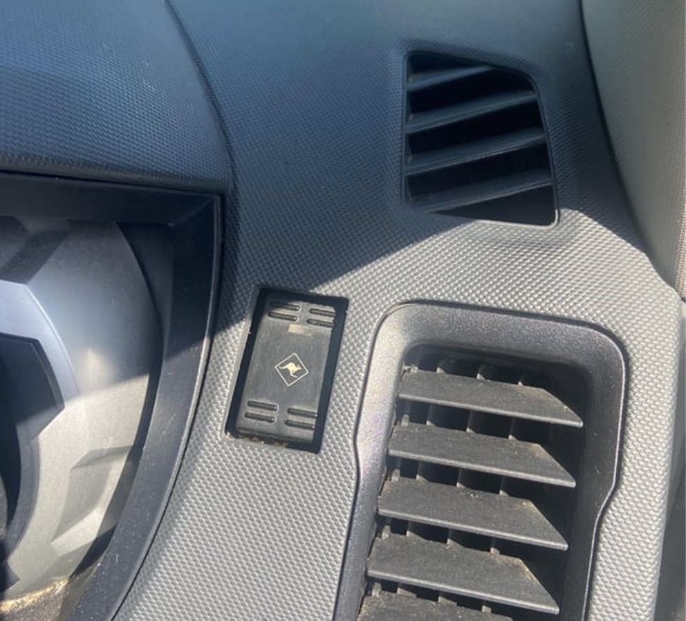 加蓬黑脸猩猩,加蓬长尾猴图片