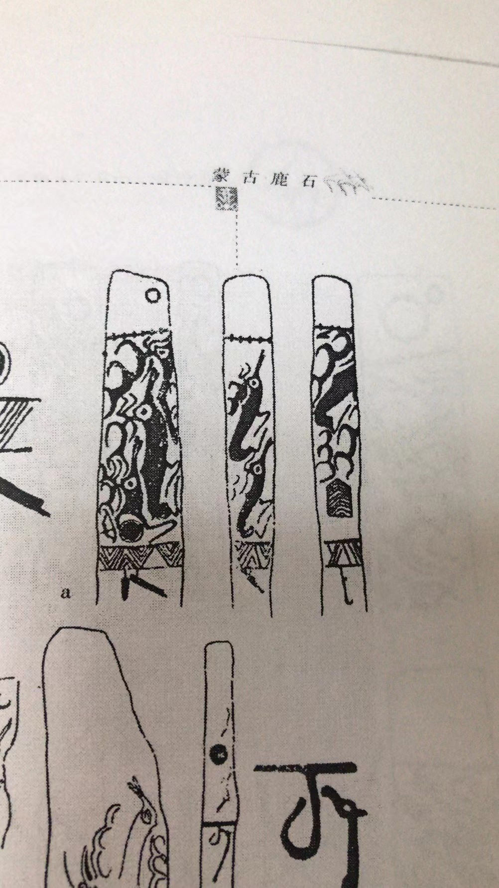 人类起源新说,人类起源新论完整版