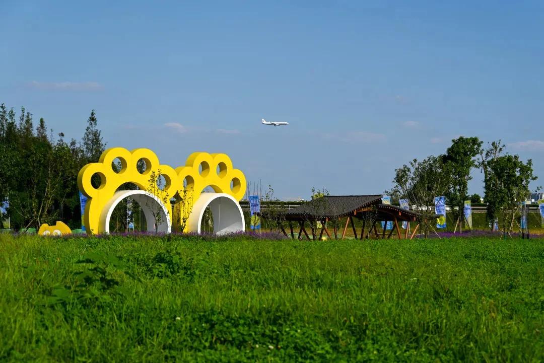 全环贯通一周！看看成都人的周“迹”