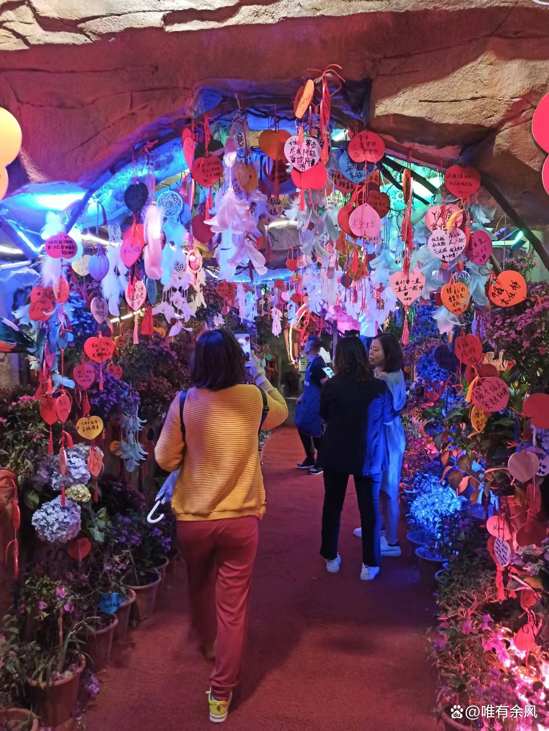 成都免费耍雪36个景点,成都周边看花景点推荐免费