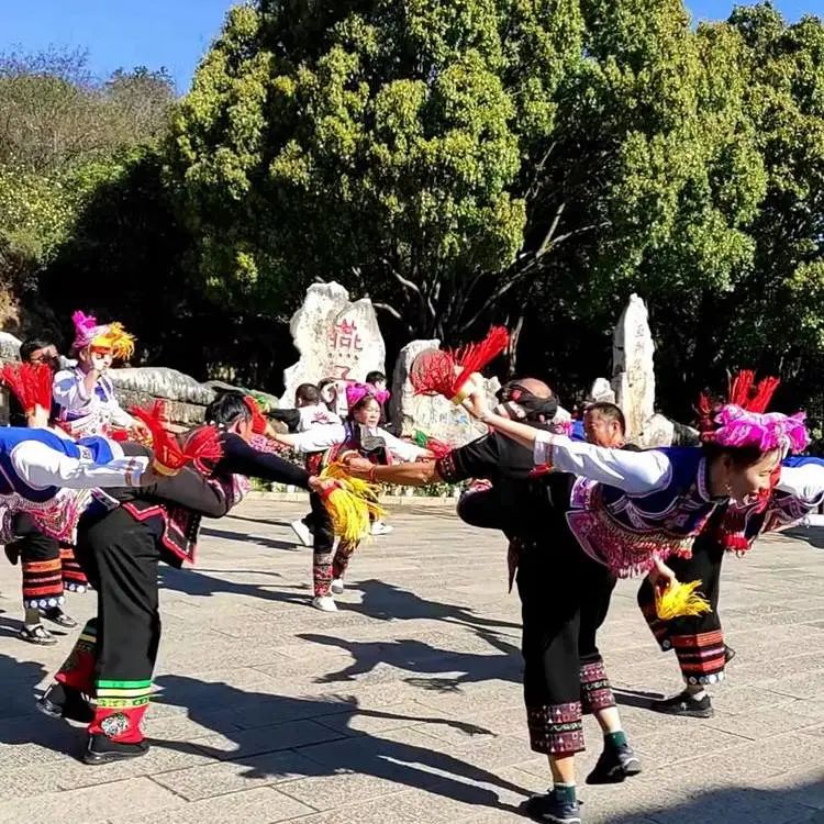 建水燕子洞免门票,建水燕子洞景区团购