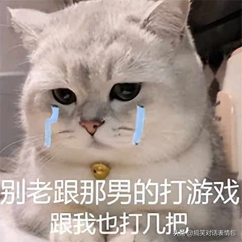 交友聊天第一个表情包,年底回家相亲表情包