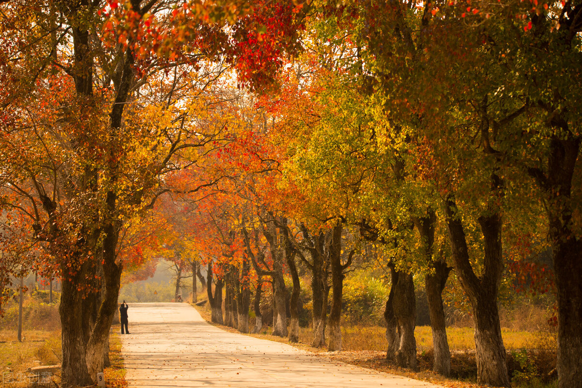 足球竞彩比赛结果英格兰,竞彩足球今日推荐米亚尔比